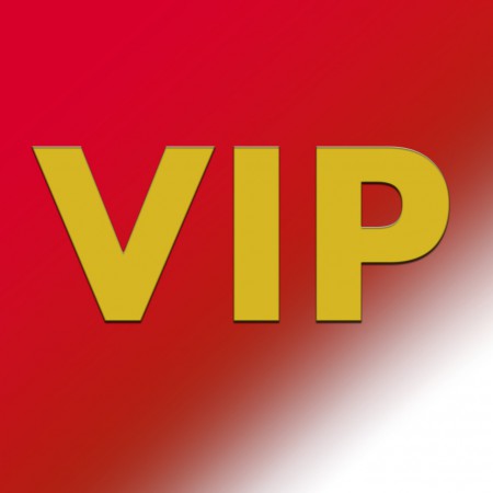Le garde VIP